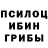 Псилоцибиновые грибы мухоморы Alisher Yessen