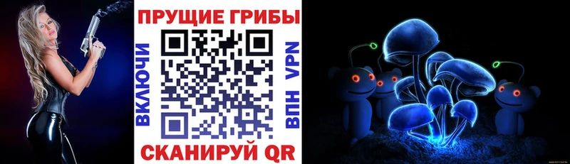 где купить   Буй  дарк нет официальный сайт  Псилоцибиновые грибы мухоморы 